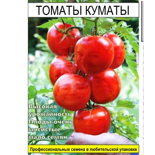 Стикерпак Томаты для Telegram — скачать