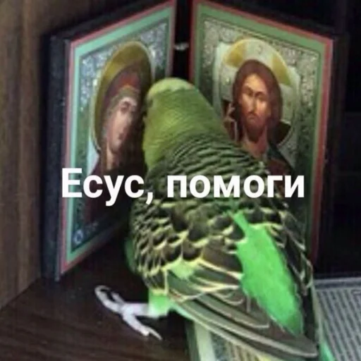 🙏 Стикер «TomiokO4ka» для Telegram