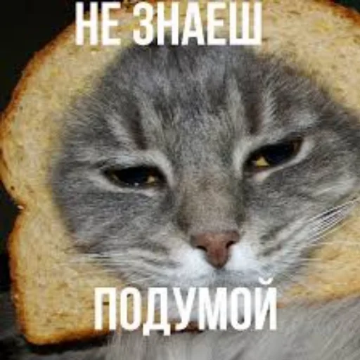 🧐 Стикер «TomiokO4ka» для Telegram