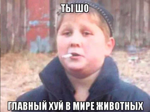 🐷 Стикер «TomiokO4ka» для Telegram
