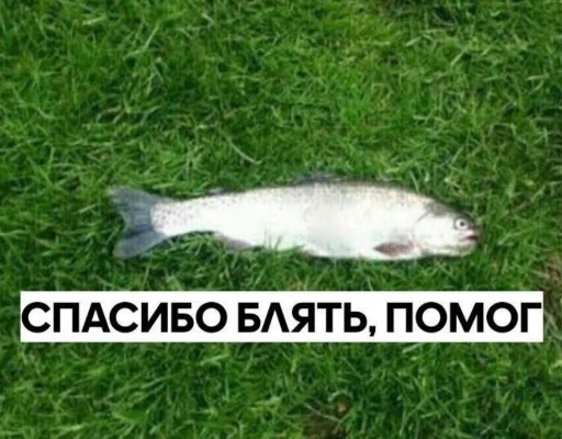 😃 Стикер «TomiokO4ka» для Telegram