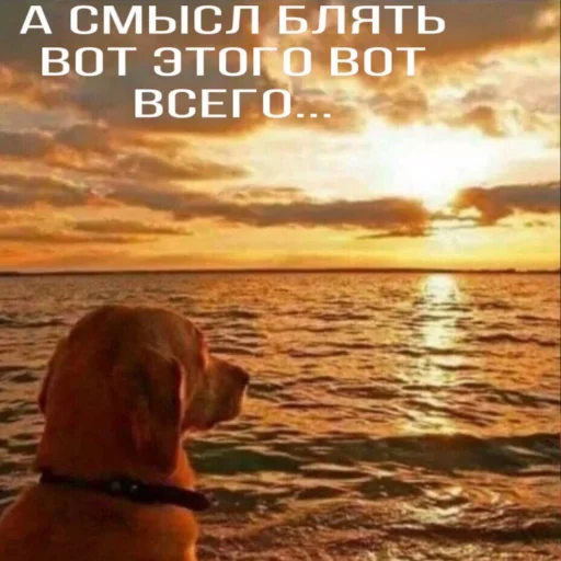 🤔 Стикер «TomiokO4ka» для Telegram