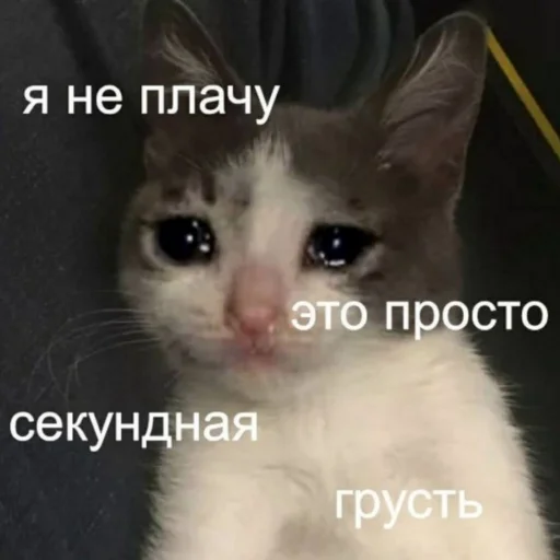 😭 Стикер «TomiokO4ka» для Telegram