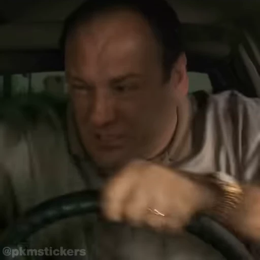 🤬 Стикер «Tony Soprano» для Telegram