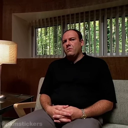 🤨 Стикер «Tony Soprano» для Telegram