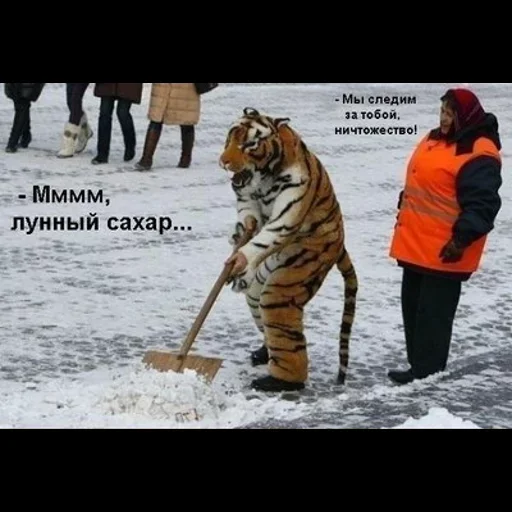 🤬 Стикер «too much sugar» для Telegram