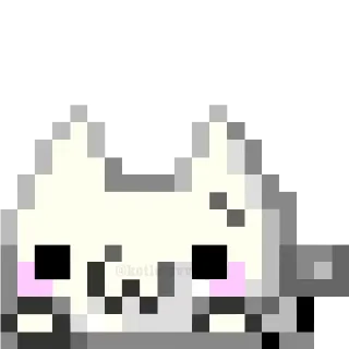 😆 Стикер «Toro Cat» для Telegram