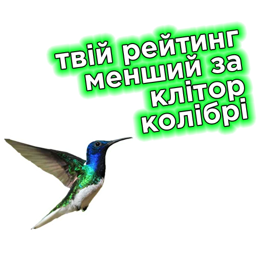 🦅 Стикер «Телебачення Торонто» для Telegram