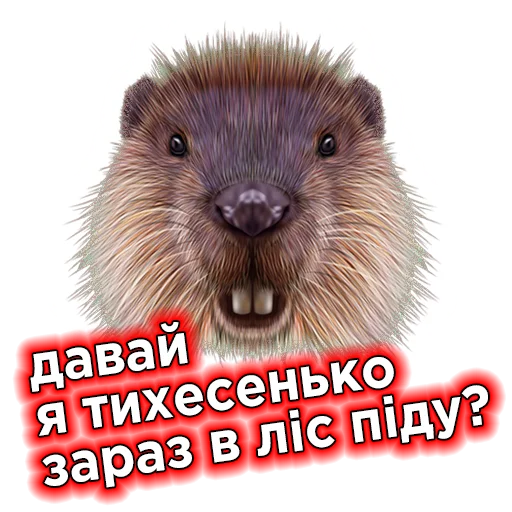 🌲 Стикер «Телебачення Торонто» для Telegram