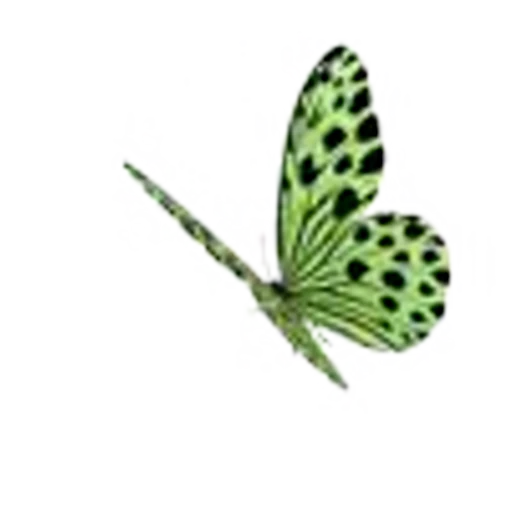 🦋 Эмодзи «Butterfly» для Telegram