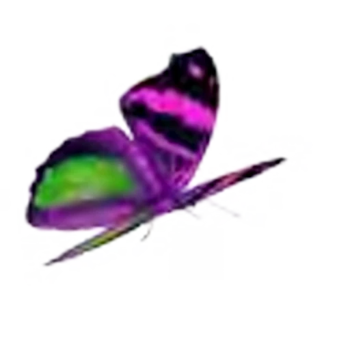 🦋 Эмодзи «Butterfly» для Telegram