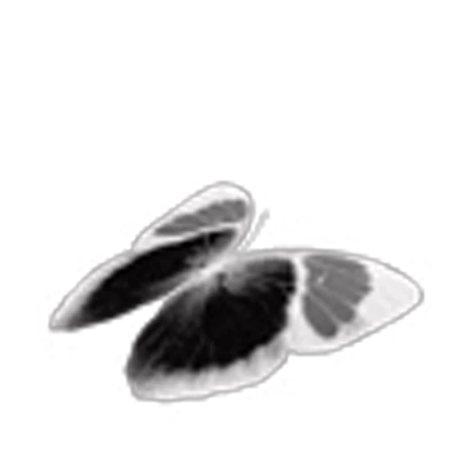 🦋 Эмодзи «Butterfly» для Telegram