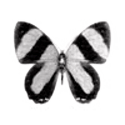 🦋 Эмодзи «Butterfly» для Telegram