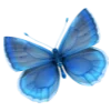 🦋 Эмодзи «Holorandom Part 1» для Telegram