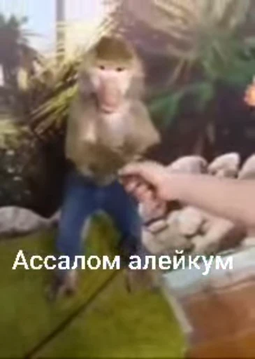 Стикерпак collection для Telegram — скачать