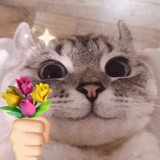 🖤 Стикер «ТОКСИККОЛЛЕКШН» для Telegram