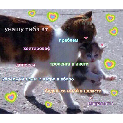 😘 Стикер «ТОКСИККОЛЛЕКШН» для Telegram