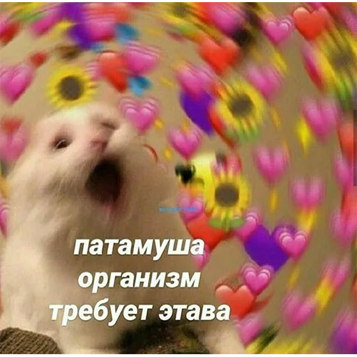 👍 Стикер «ТОКСИККОЛЛЕКШН» для Telegram