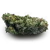 🌿 Эмодзи «Weed» для Telegram