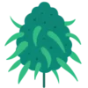 🌿 Эмодзи «Weed» для Telegram