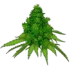 🥦 Эмодзи «Weed» для Telegram