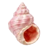 🦪 Эмодзи «Treasures from the Sea» для Telegram