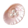 🦪 Эмодзи «Treasures from the Sea» для Telegram