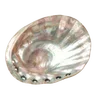 🦪 Эмодзи «Treasures from the Sea» для Telegram