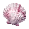 🦪 Эмодзи «Treasures from the Sea» для Telegram