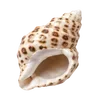 🐚 Эмодзи «Treasures from the Sea» для Telegram