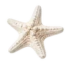 ⭐ Эмодзи «Treasures from the Sea» для Telegram