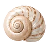 🦪 Эмодзи «Treasures from the Sea» для Telegram