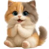 🙏 Эмодзи «Трехцветный котик» для Telegram