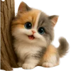 ☺️ Эмодзи «Трехцветный котик» для Telegram