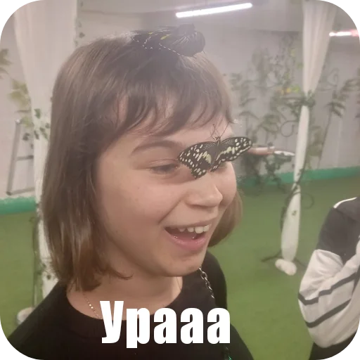 Трич