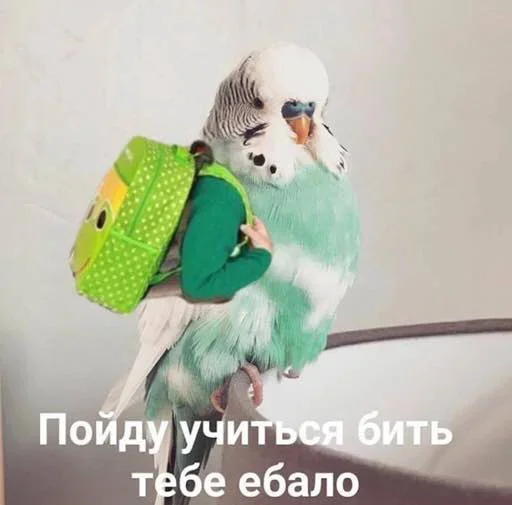 Стикерпак Outrageous для Telegram — скачать