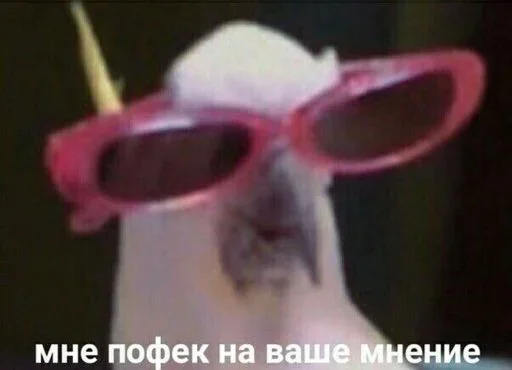 😙 Стикер «Outrageous» для Telegram