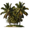 🥥 Эмодзи «tropical» для Telegram