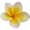 🥥 Эмодзи «tropical» для Telegram