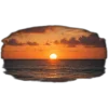 🥥 Эмодзи «tropical» для Telegram