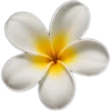 🥥 Эмодзи «tropical» для Telegram