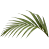🥥 Эмодзи «tropical» для Telegram