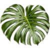 🥥 Эмодзи «tropical» для Telegram