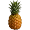 🥥 Эмодзи «tropical» для Telegram