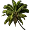 🥥 Эмодзи «tropical» для Telegram