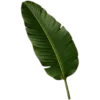 🥥 Эмодзи «tropical» для Telegram
