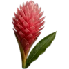 🥥 Эмодзи «tropical» для Telegram