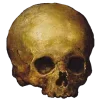 💀 Эмодзи «👉🏻 катарсис» для Telegram