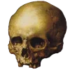 💀 Эмодзи «👉🏻 катарсис» для Telegram