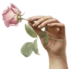 🥀 Эмодзи «катарсис» для Telegram